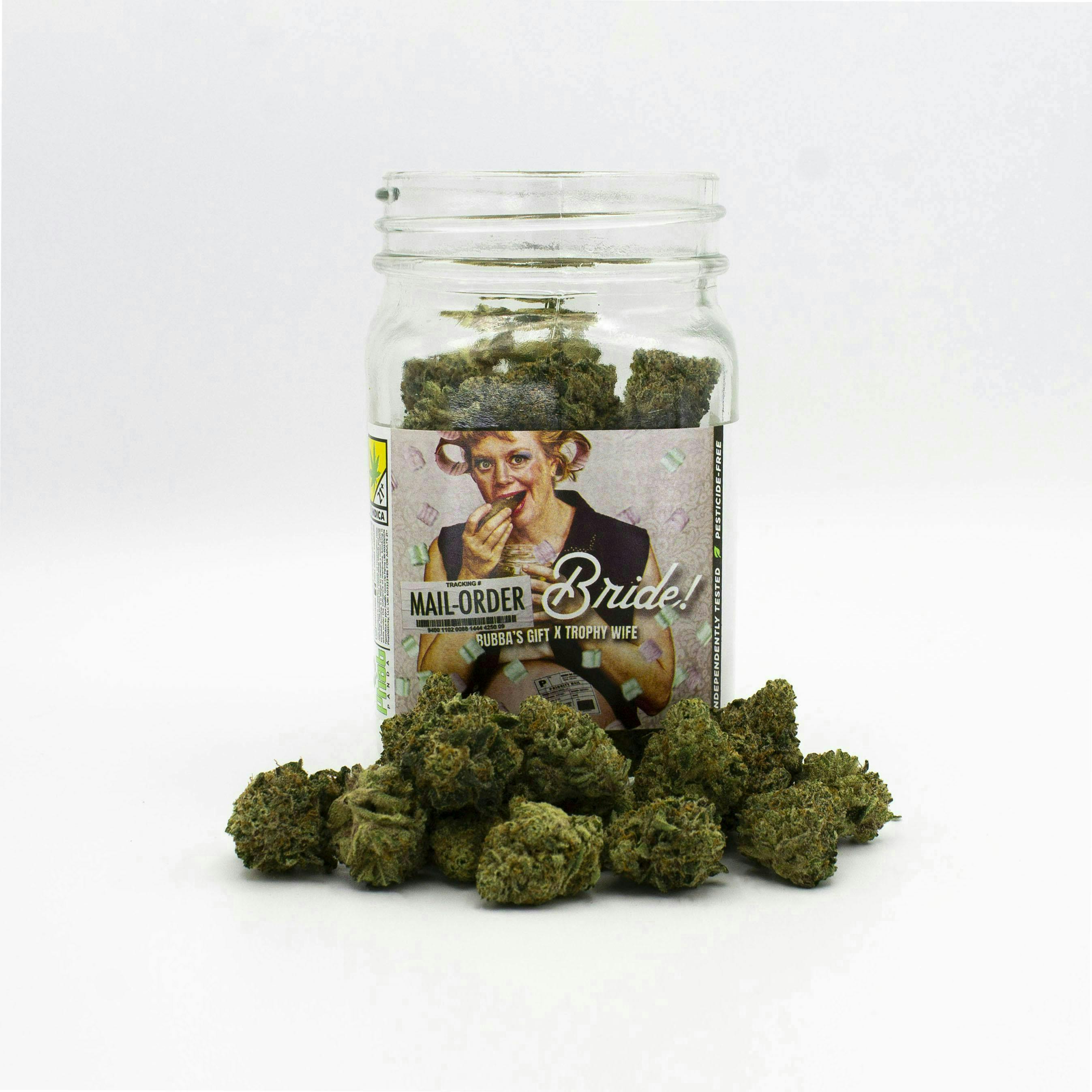 Phat Panda - Phat Panda | Mail Order Bride | Big Buds - 1