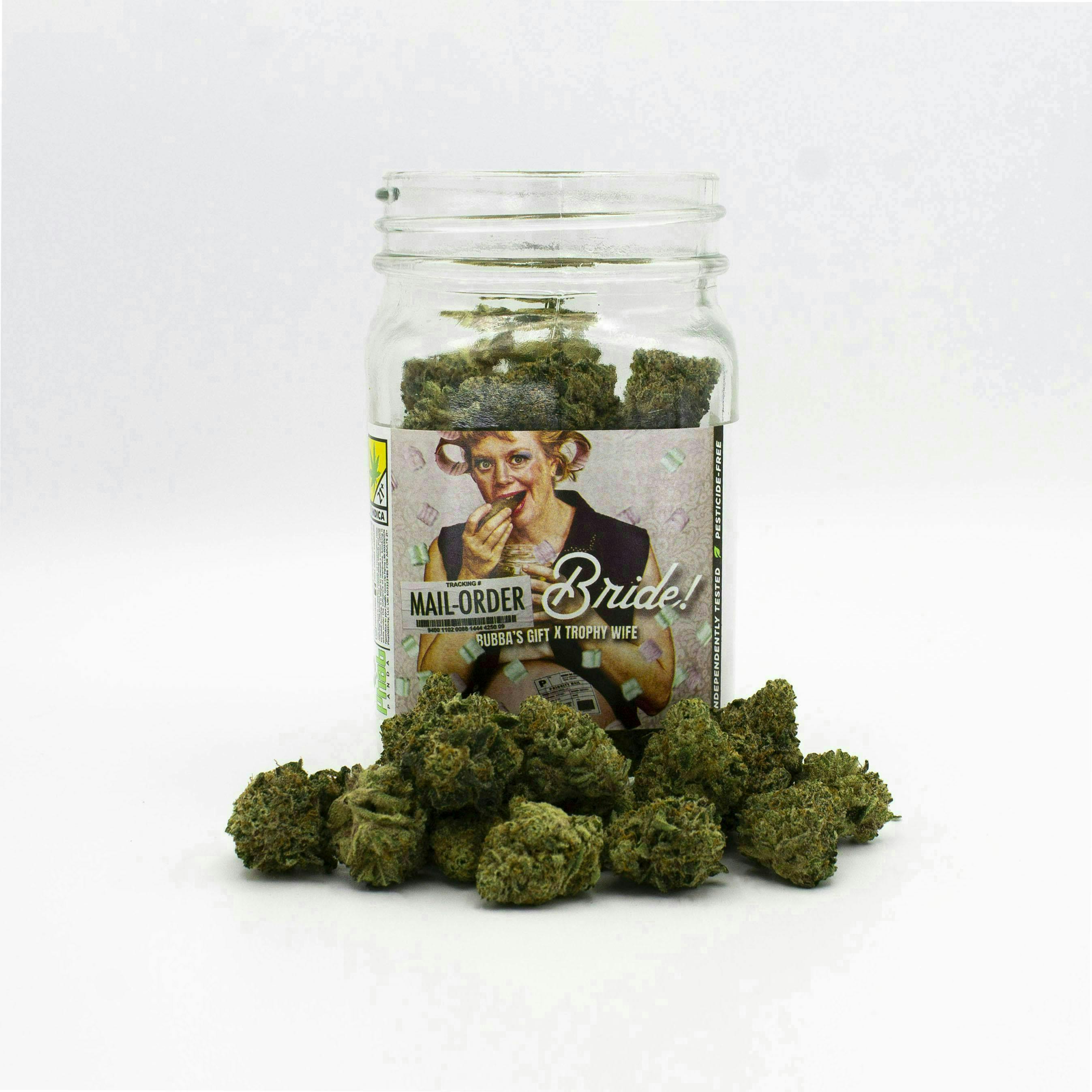 Phat Panda - Mail Order Bride | Big Buds - 1