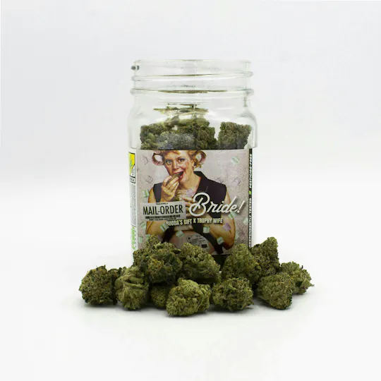 Phat Panda - Mail Order Bride | Big Buds - 1