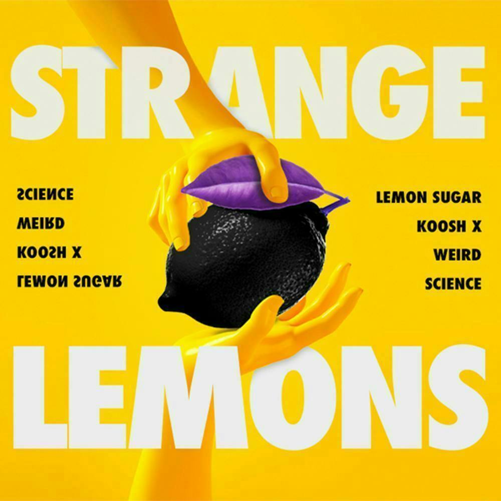 Phat Panda - Phat Panda | Strange Lemons | Big Buds - 1