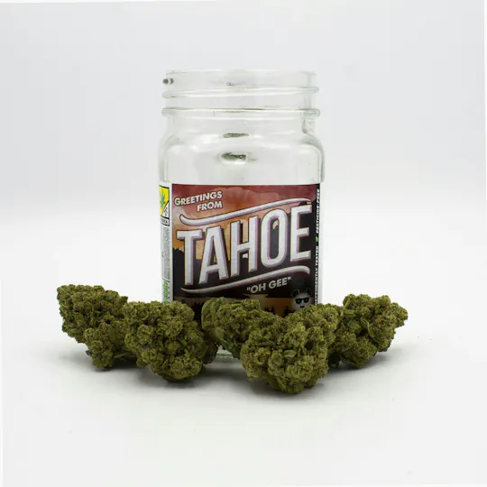 Phat Panda - Phat Panda | Tahoe OG | Big Buds - 1