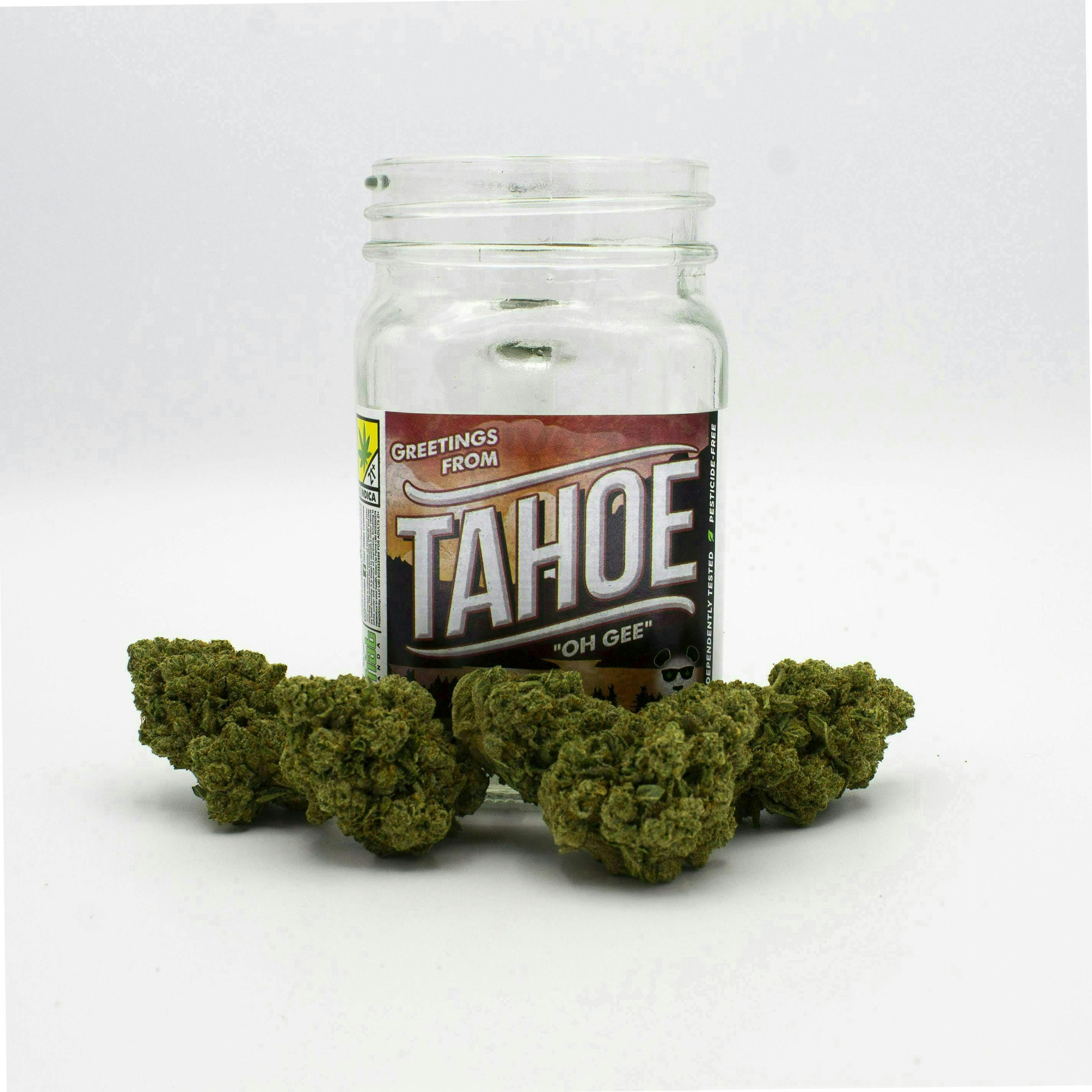 Phat Panda - Tahoe OG | Big Buds - 1