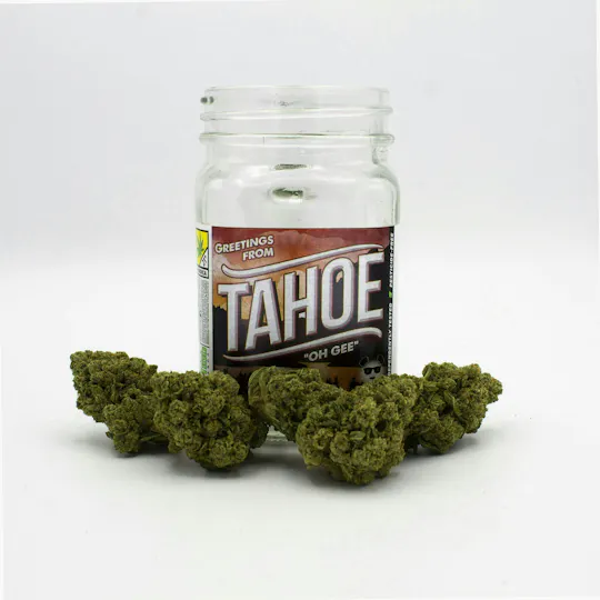 Phat Panda - Tahoe OG | Big Buds - 1