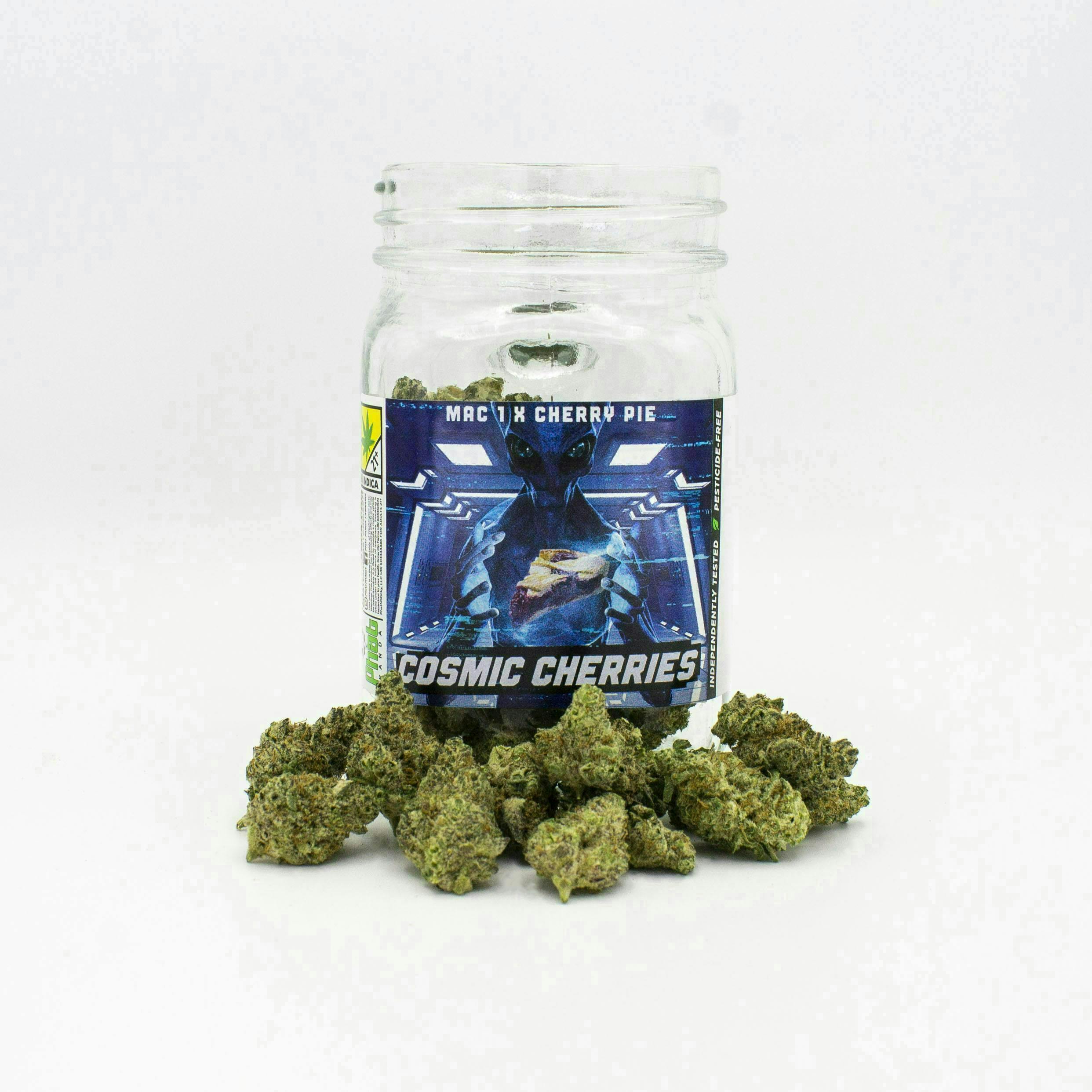 Phat Panda - Cosmic Cherries | Big Buds - 1