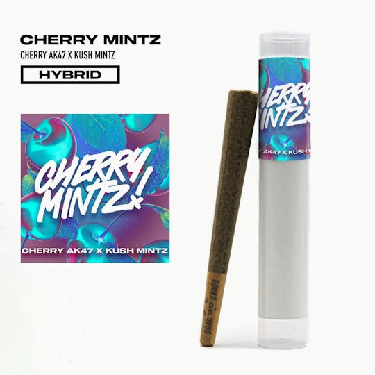 Phat Panda - Cherry Mintz - Preroll - WA - 1