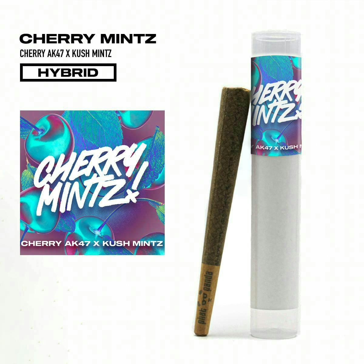 Phat Panda - Phat Panda | Cherry Mintz | Joint | 1g - 1