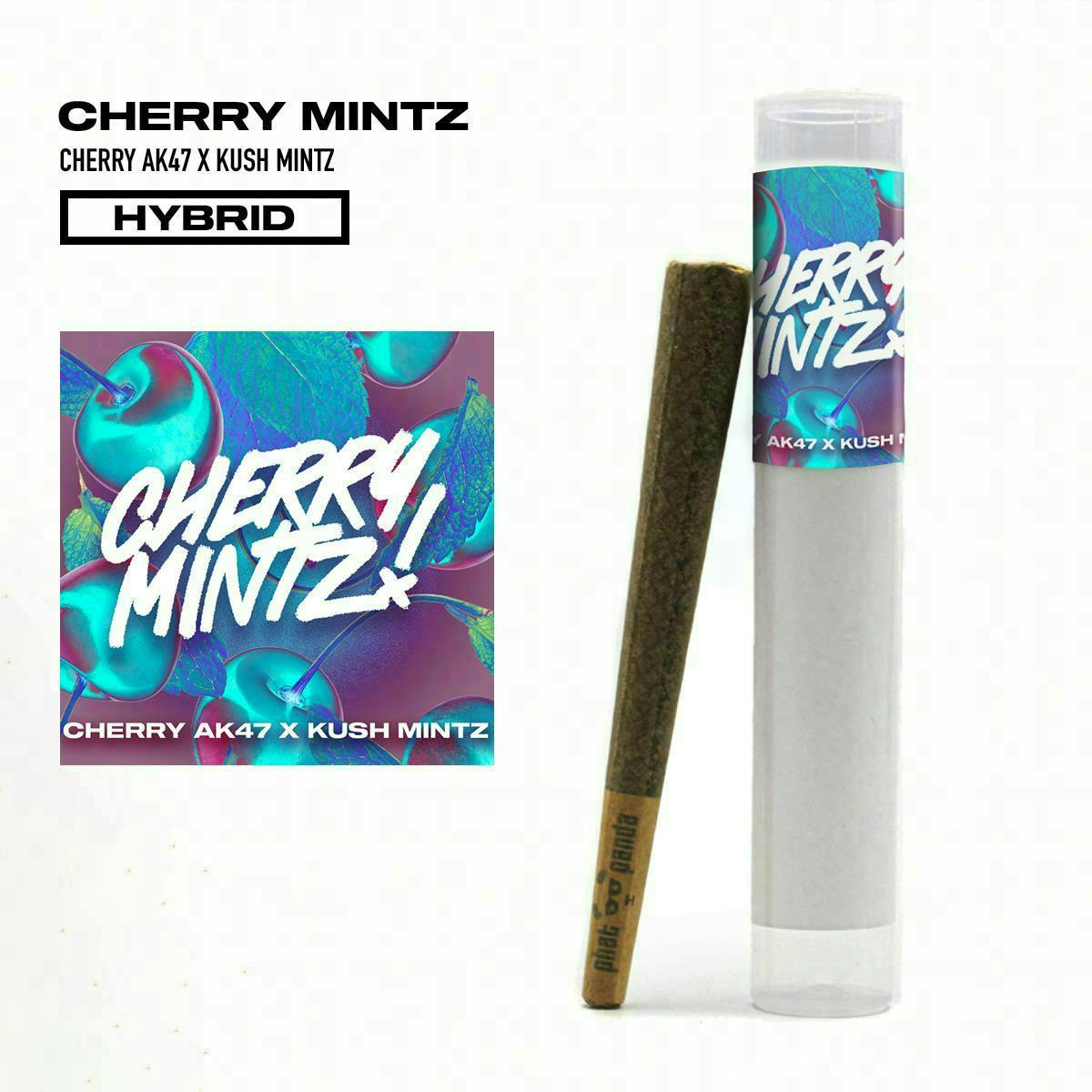 Phat Panda - Cherry Mintz | Joint | 1g - 1