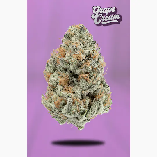 Hazy Hill Farm - Grape Cream - 1