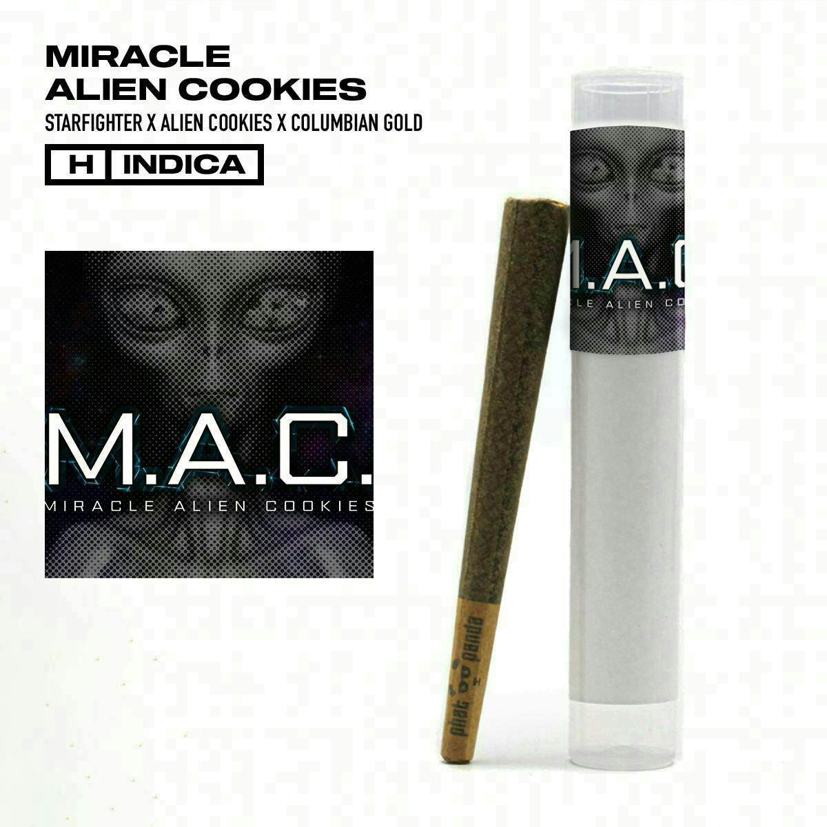Phat Panda - MAC | Joint | 1g - 1
