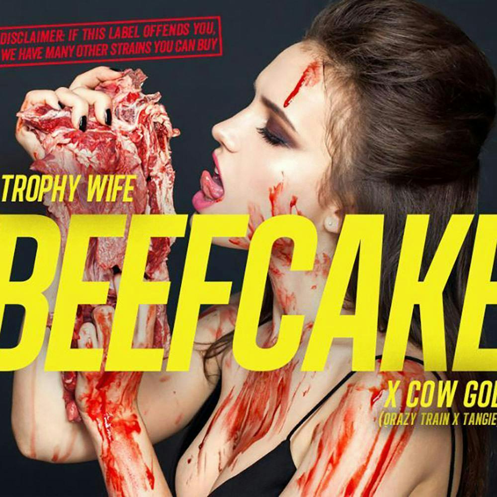 Phat Panda - Beef Cake - Mega Roll (10g) - WA - 1