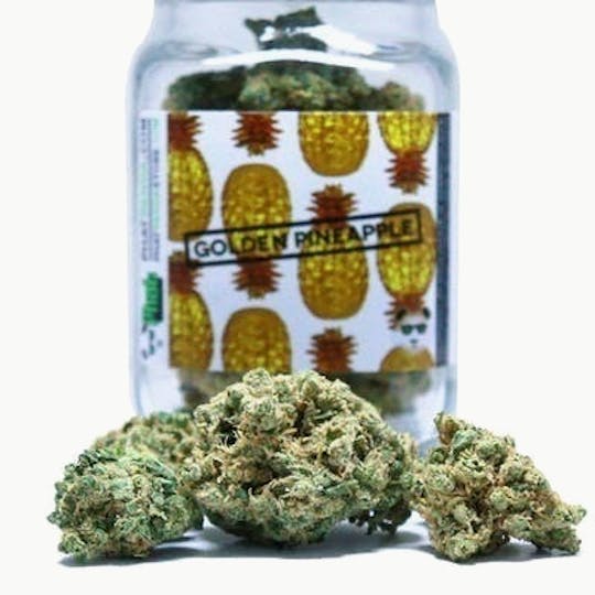 Phat Panda - Golden Pineapple - Mega Roll (10g) - WA - 1