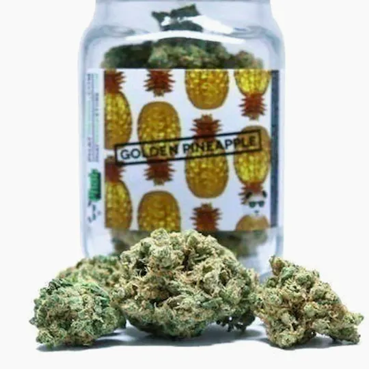 Phat Panda - Mega Roll | Golden Pineapple | Blunt | 10g - 1
