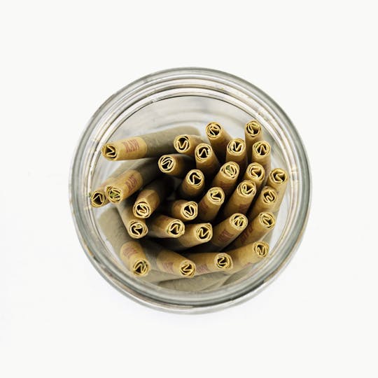 Phat Panda - Cherry Mintz Preroll Pack 28g (28 x 1g) - WA - 1