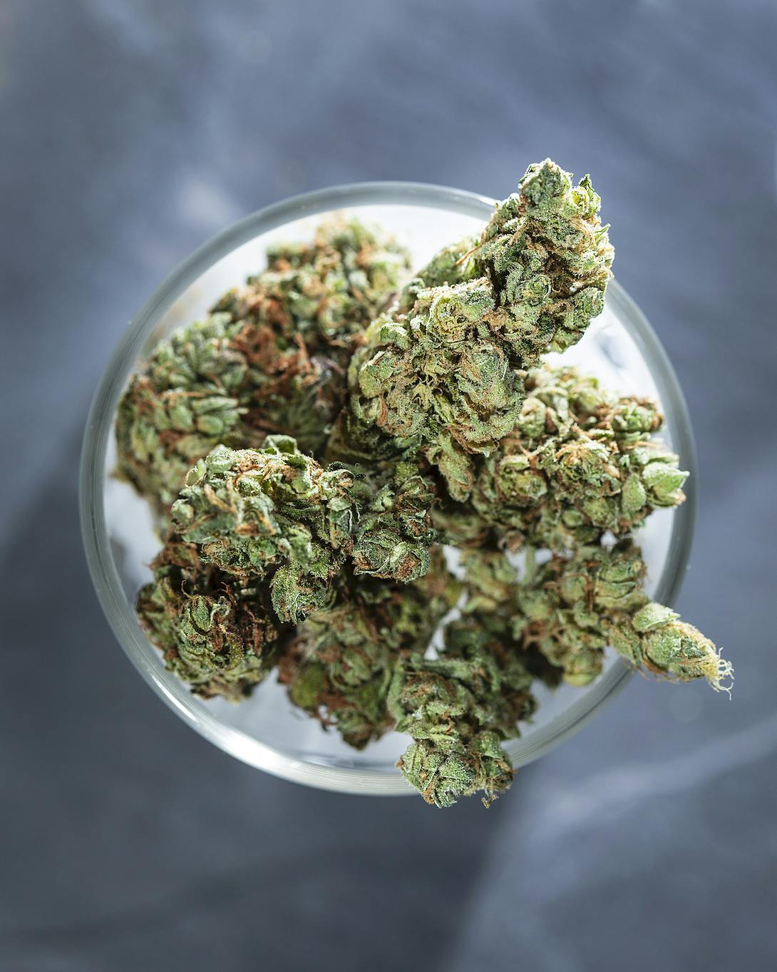 Tops Farm - Cindy x Maz 7 grams - 1