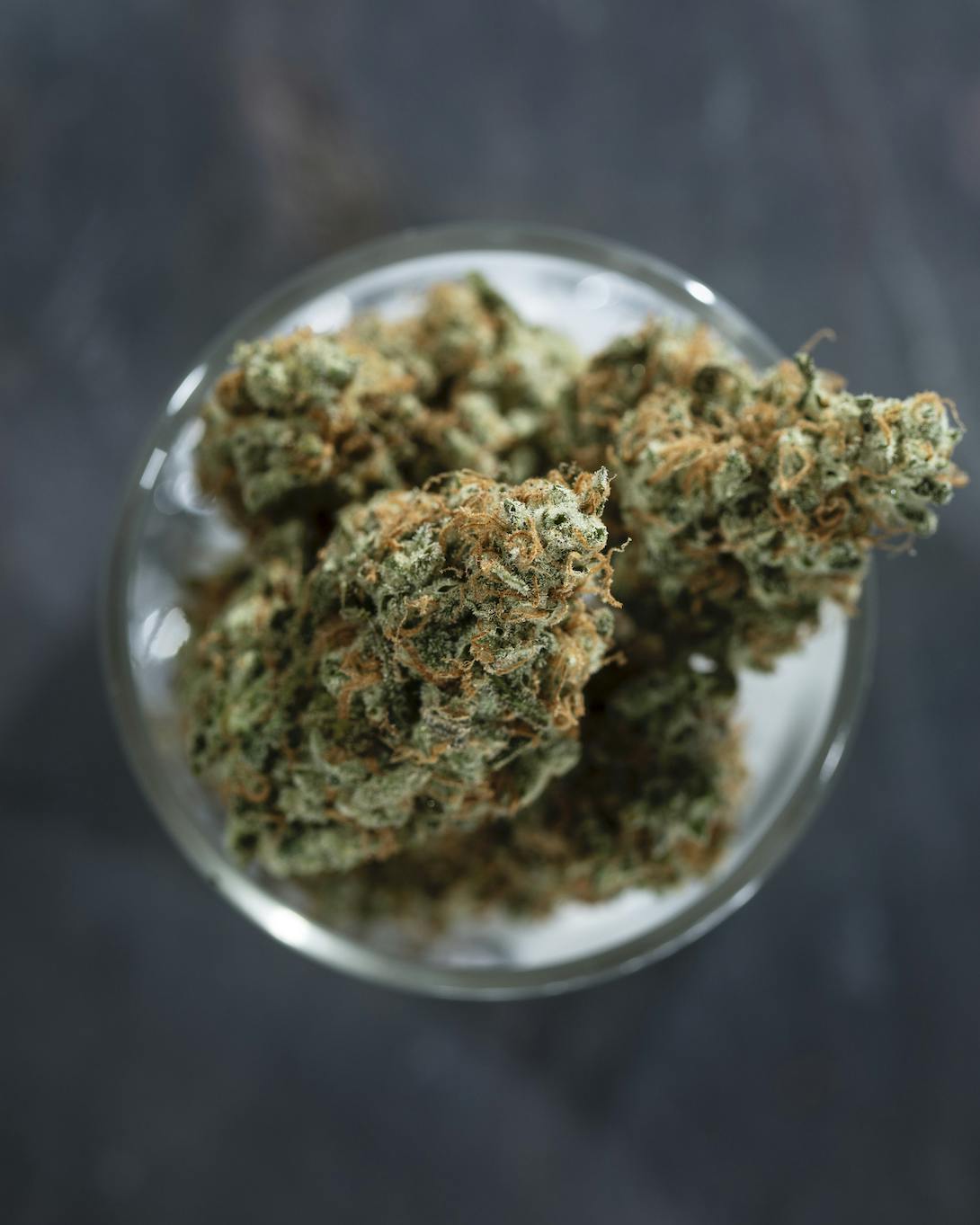 Tops Farm - Purple Haze 7 grams - 1