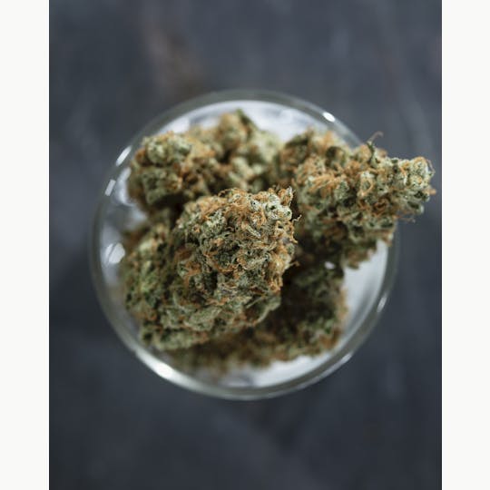 Tops Farm - Purple Haze 7 grams - 1