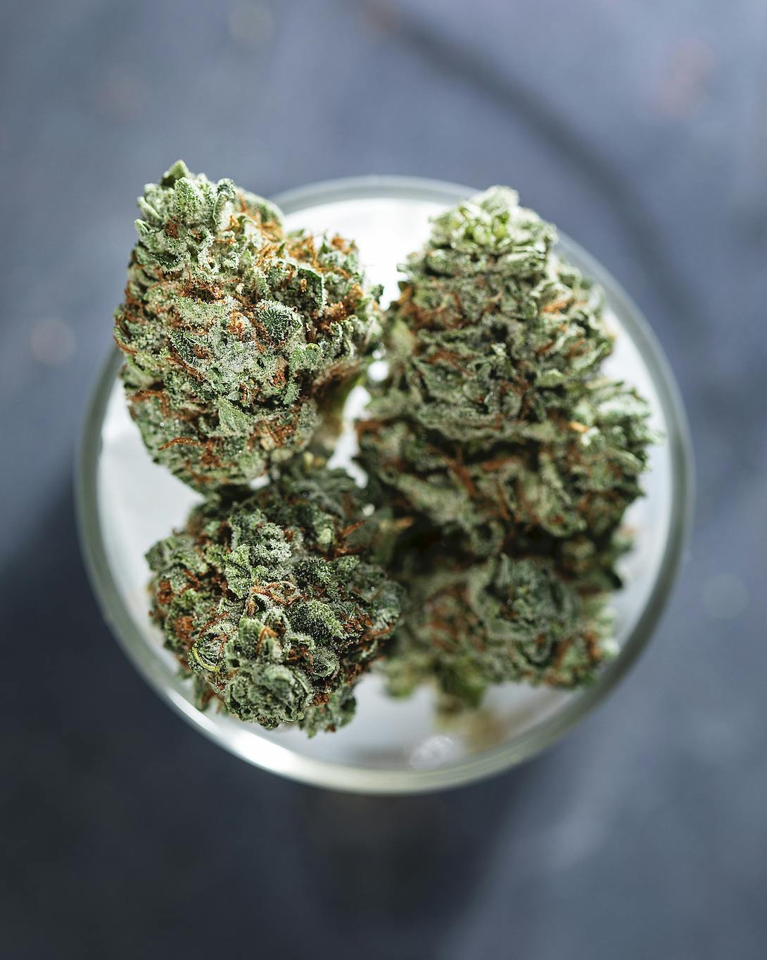 Tops Farm - Sour Dubble (7 grams) - 1