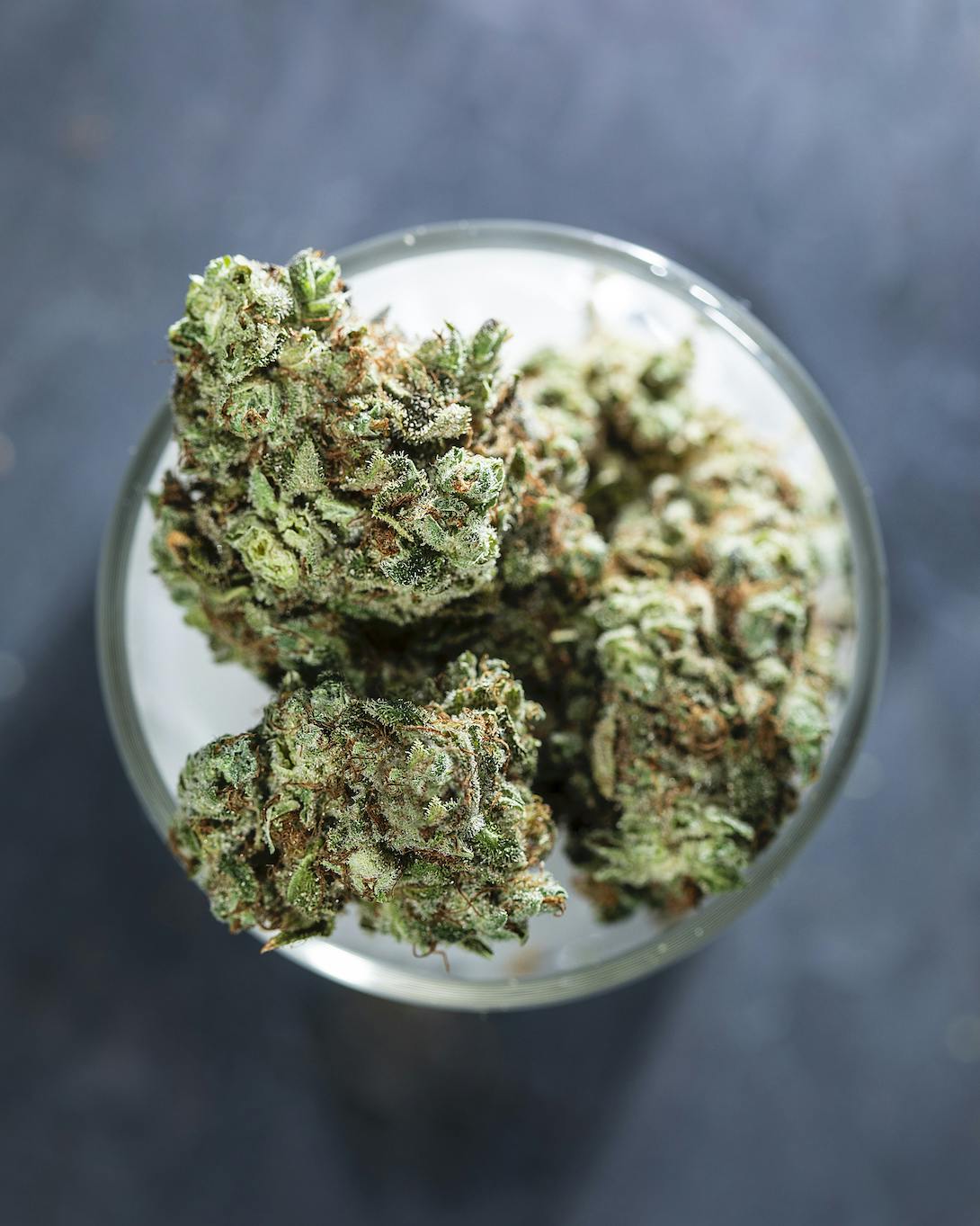 Tops Farm - Sour Dubble #2 (7 grams) - 1