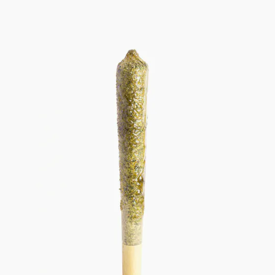 Rejuvenate Canna Co - Rejuvenate | Infused Preroll Joints - 1