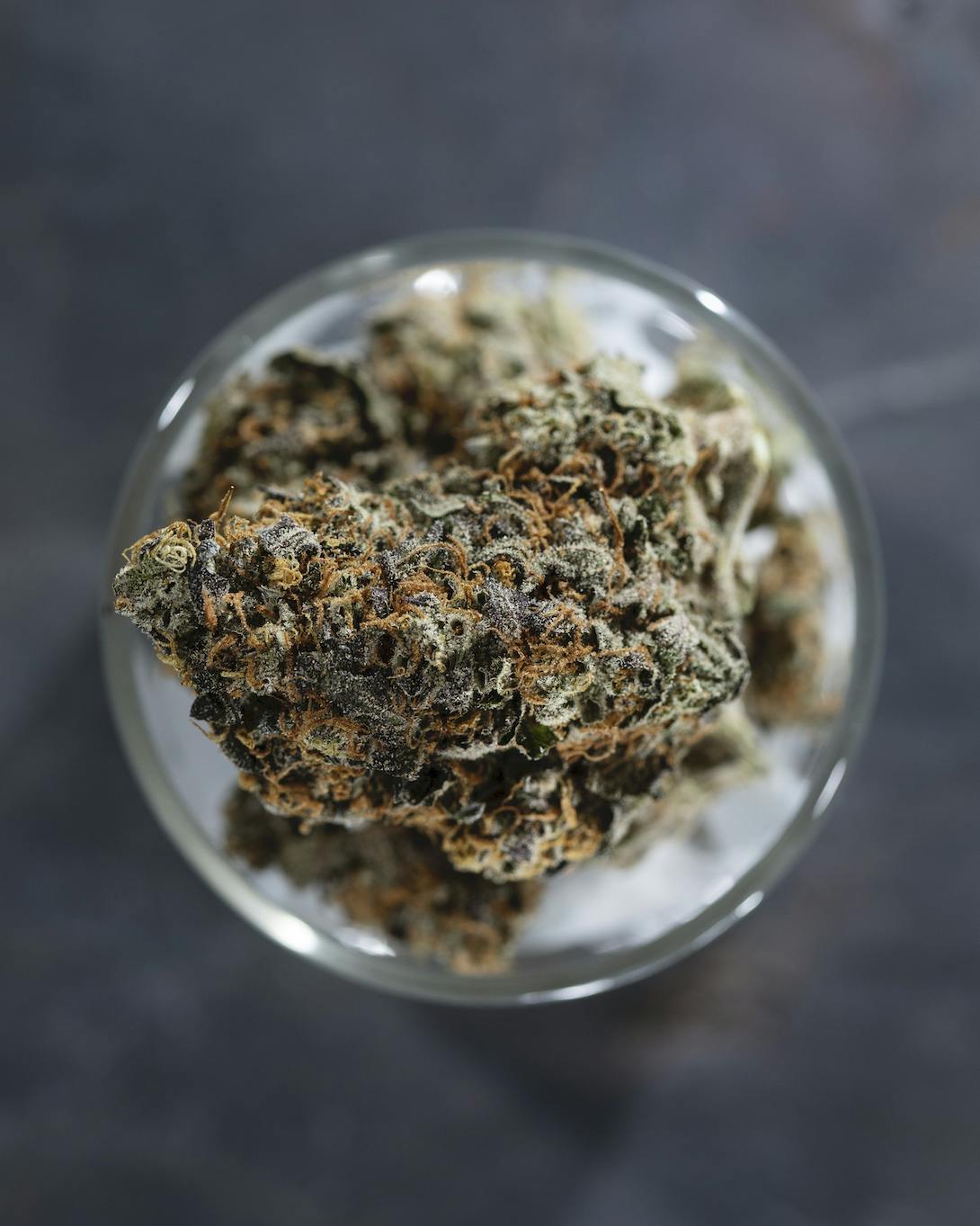 Tops Farm - Triple Chocolate Chip 1/8th (3.5 grams) - 1