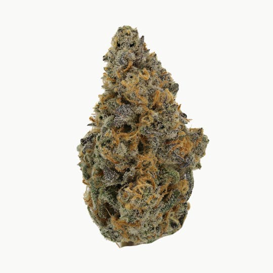 Ember Valley - Berry Jane 7G Smalls - 1