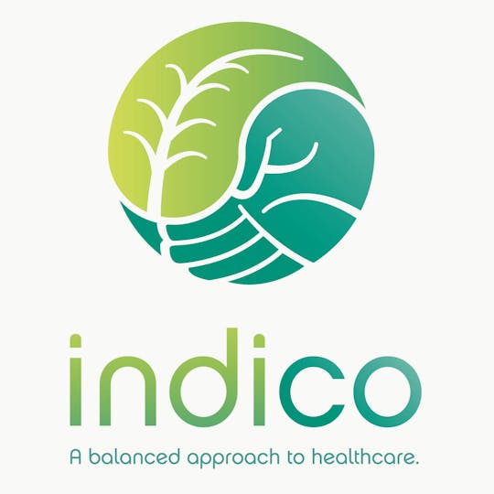 Indico - 25mg Full Spectrum Citrus Punch Gumdrops - 1