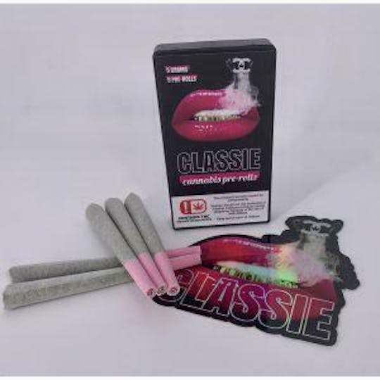 Pharmicated - Classie 5-1g Pre-Roll Box - Bahama Mama (H) - 1