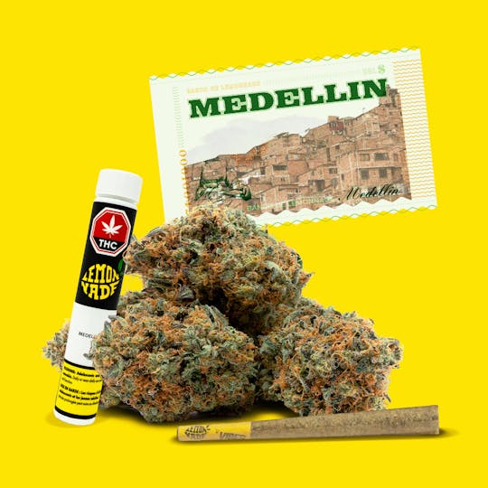 Cookies Canada - Medellin 1g Preroll - 1