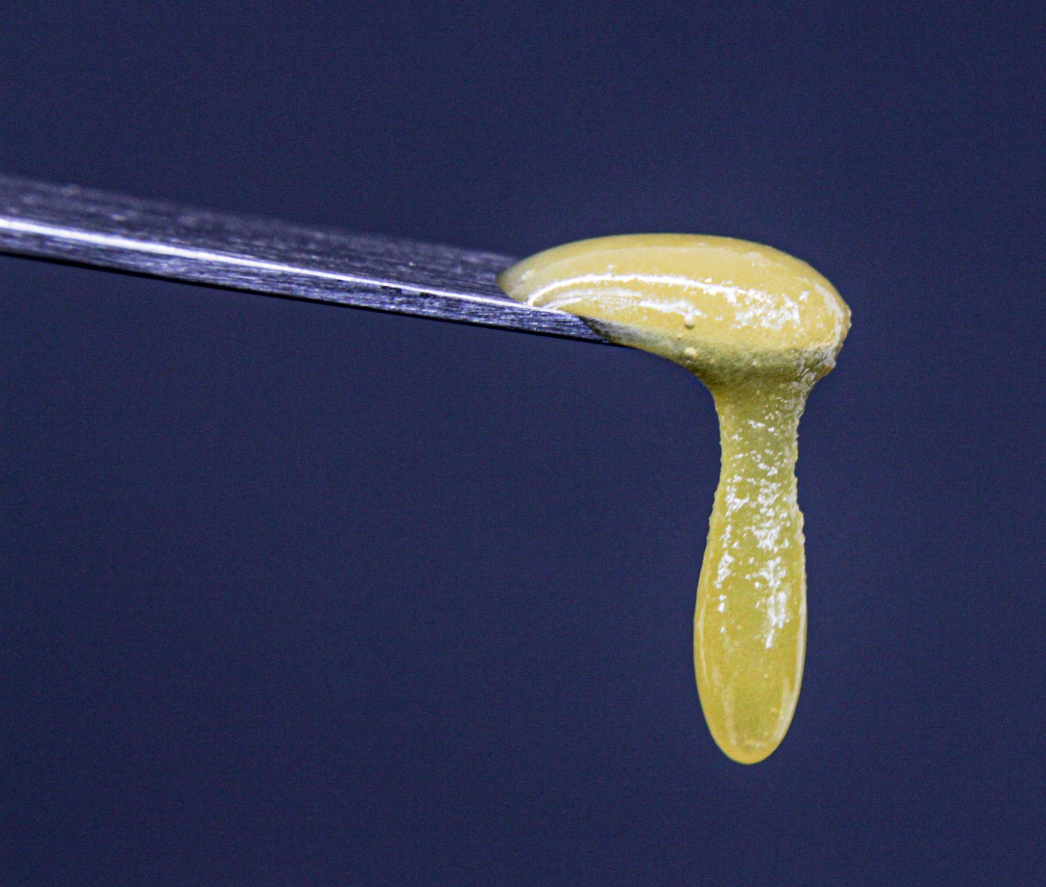 The Kola Farms - Animal Kookies Jam - 1