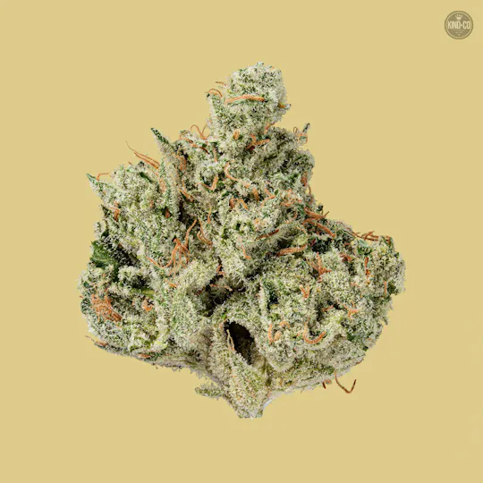 Kind & Co - Chem Pucker - 1