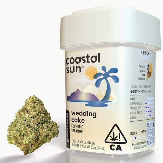 Coastal Sun - Wedding Cake Greenhouse Flower 3.5g - 1