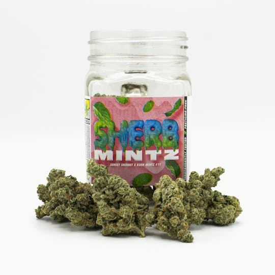 Phat Panda - Sherb Mintz Bong Buddies - WA - 1
