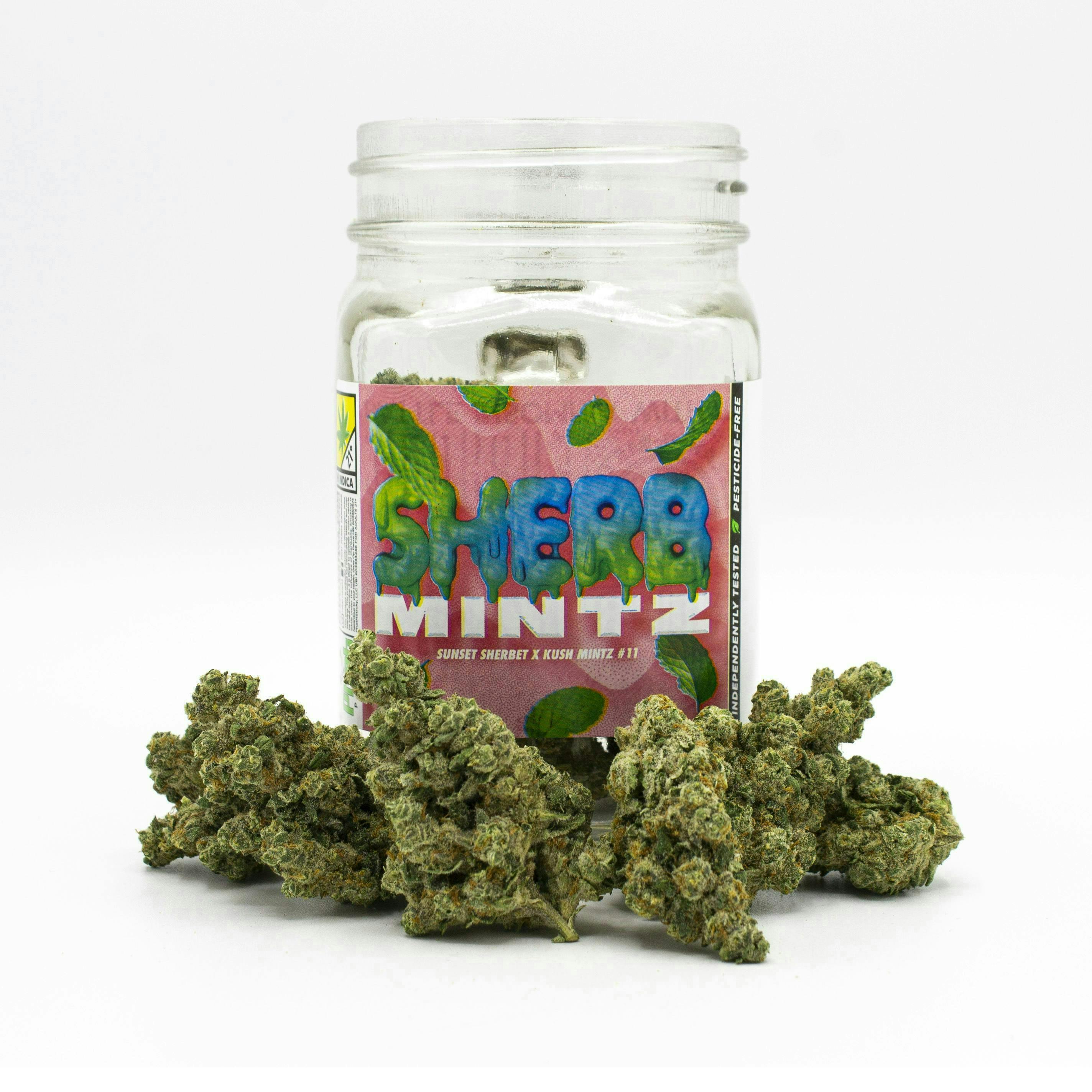 Phat Panda - Bong Buddies | Sherb Mintz | Smalls | 2g - 1