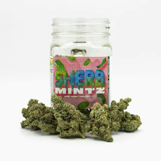 Phat Panda - Bong Buddies | Sherb Mintz | Smalls | 2g - 1