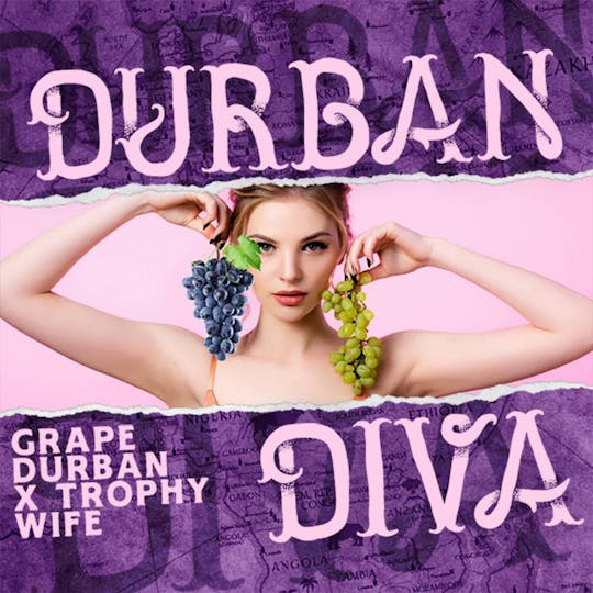 Phat Panda - Durban Diva - WA - 1
