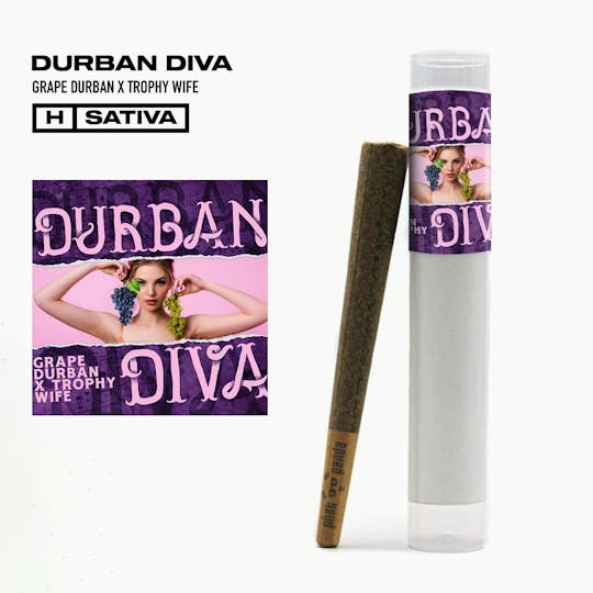 Phat Panda - Durban Diva Preroll 1g - WA - 1