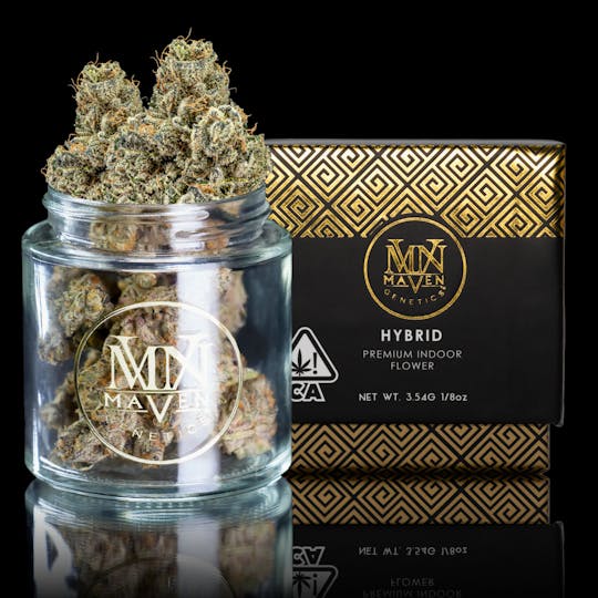 Maven Genetics - Black Cherry Blossom - 1