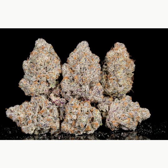 The Grower Circle - Pellegreeno - 1