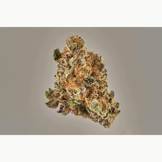 Ripple Wellness - Flower - Tier 1 - Purple Pie #5 - 1