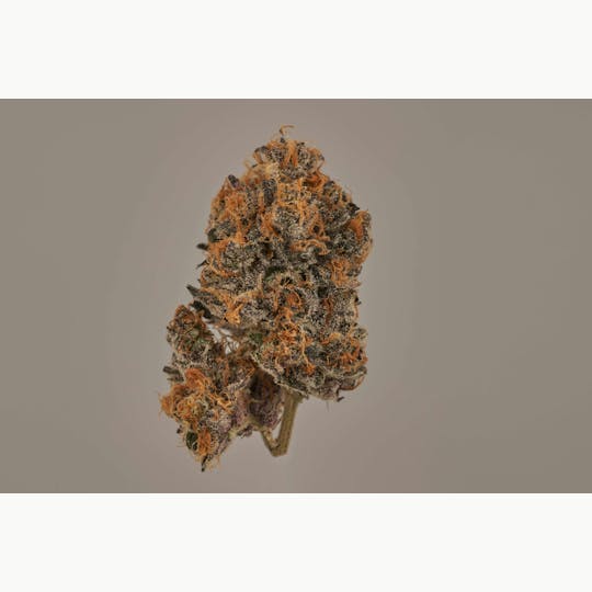 Ripple Wellness - Flower - Tier 1 - Zebra Cakes - 1