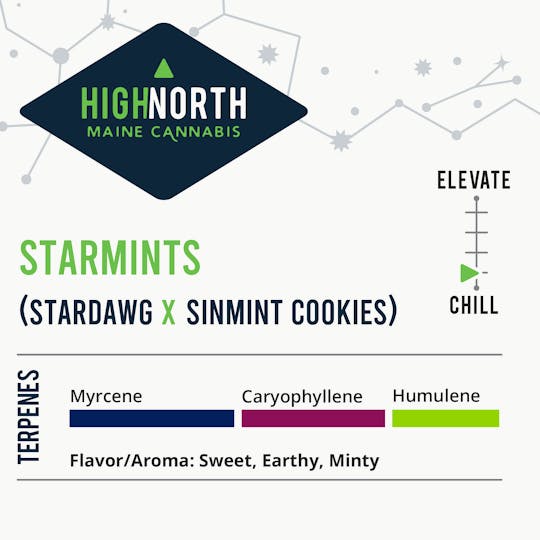 Wellness Connection - Starmints Pre-Roll - 1