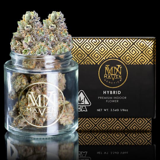 Maven Genetics - Pandora - 1