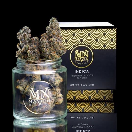 Maven Genetics - Affogato - 1