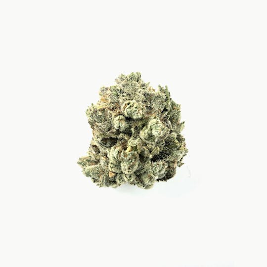Indico - SFV OG KUSH - 1