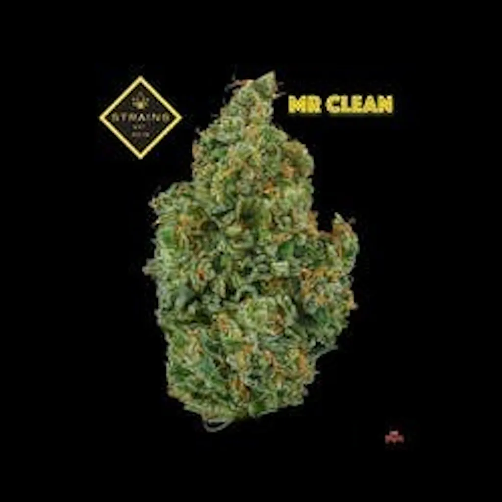 Mr. Clean 1/2 oz - Strains