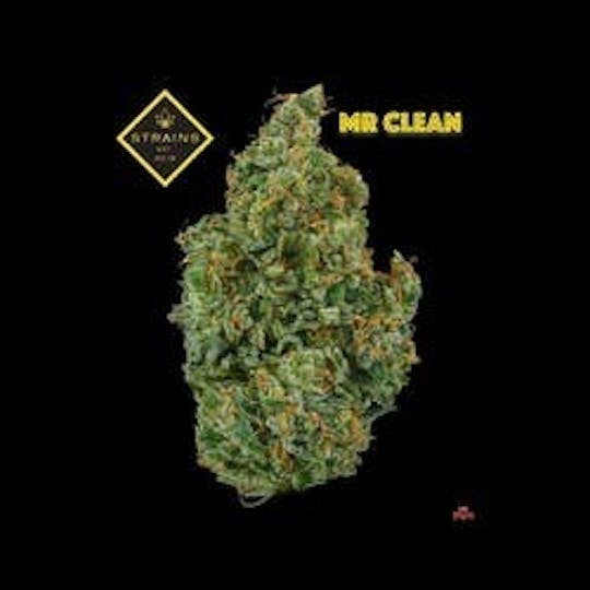 Strains - Mr. Clean 1/2 oz - 1