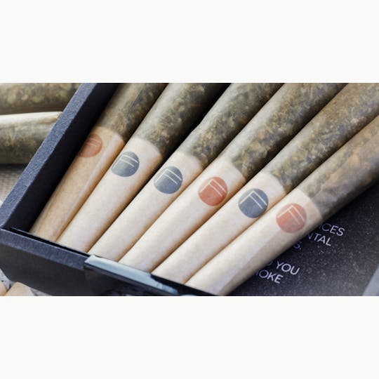 Fumée - Fumée Pre-Roll 8 Pack - Team Cream 4g - 1