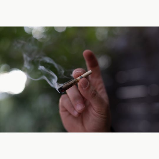 Fumée - Fumée Pre-Roll 8 Pack - Blue Dream 4g - 1