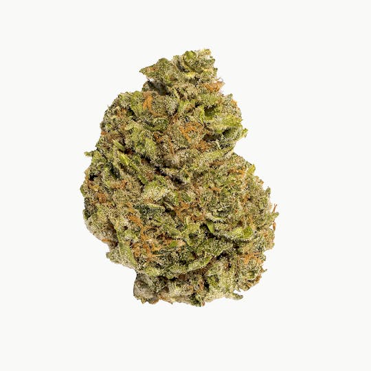 Evidence - Evidence™️ 8th - Mango Sherbet - 1