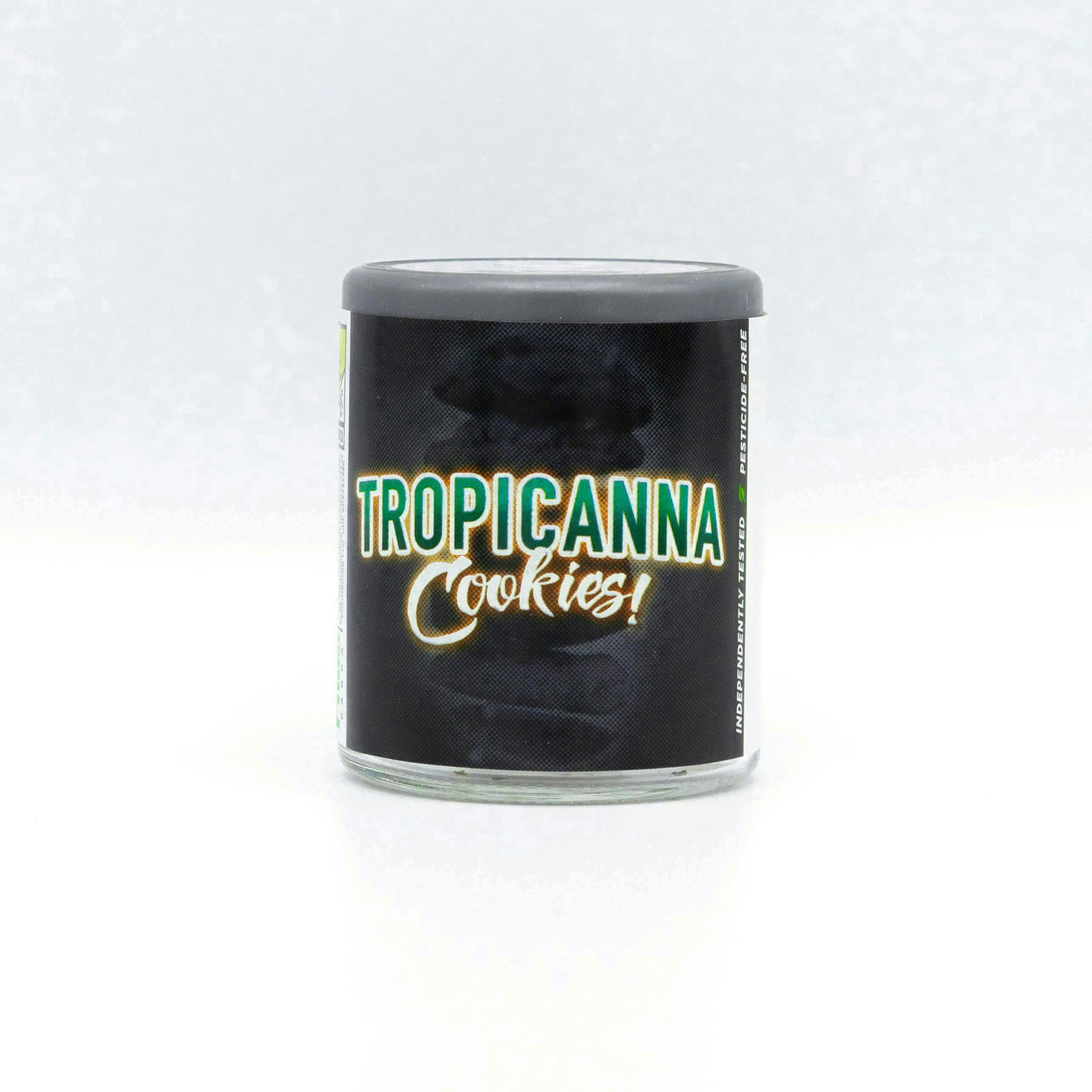 Phat Panda - Tropicanna Cookies | Big Buds - 1